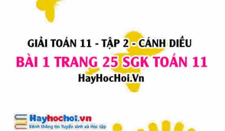 Bài 1 trang 25 Toán 11 tập 2 Cánh Diều